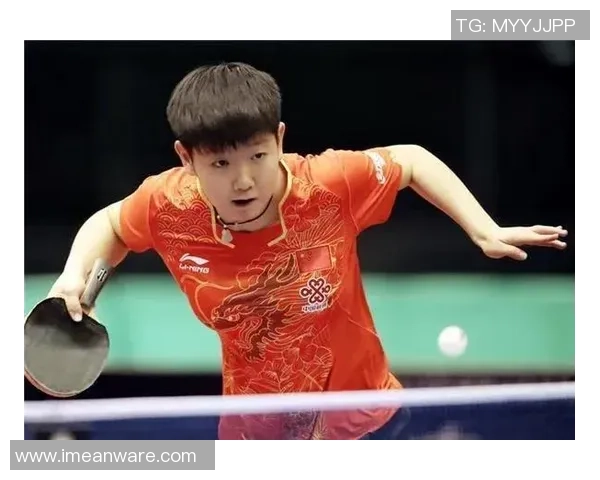 乒乓球耐力排行榜揭晓上海乒乓球队荣登第六名引发关注